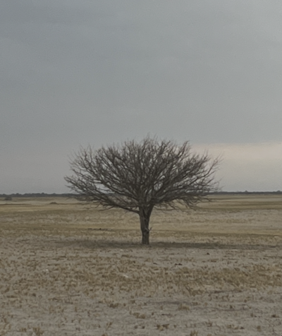 botswana country 6