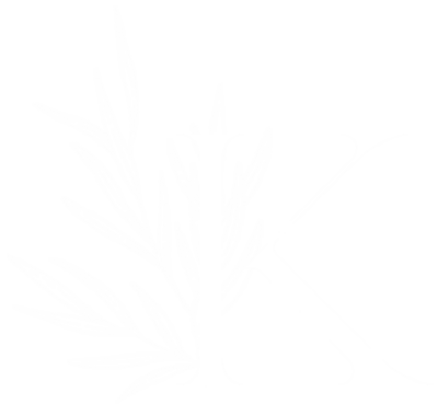 logo 2 white