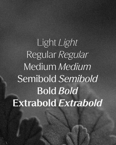 Figura Sans SamplesArtboard 9 Medium