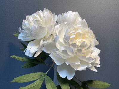 Lasting flowers
