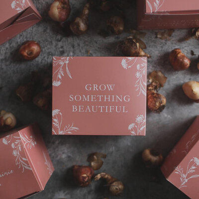 Flwoer Farm packaging design for wosmen-owned businesse