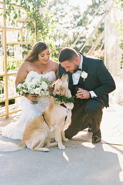 Bride and groom sharing a joyful moment with their dog adorned with a floral collar at their wedding celebration in French's point, Maine— heartwarming wedding portrait captured by Asia Pimentel Photography.