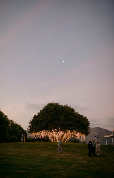 The scene at dusk on a private property of a beautiful tree decorated in lights while the pink sky shows the moon and people gathered underneath