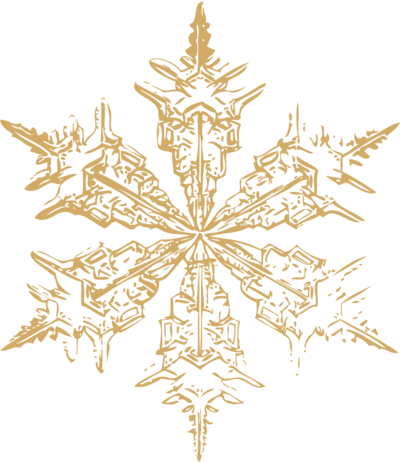 gold snowflake 5