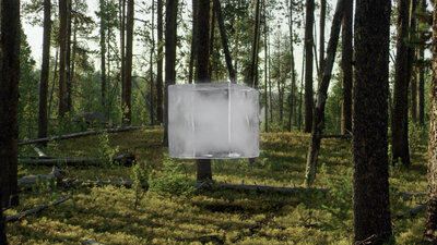 ember life sciences ice cube in forest