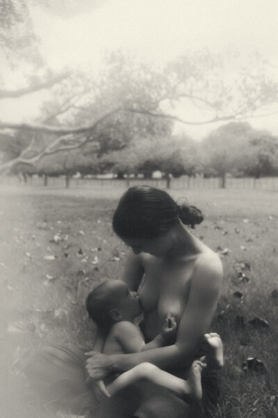 A portrait of a breast feeding mum in Cornwall Park Auckland, captured by Eilish Burt Photography