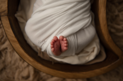 baby toes newborn photographer metairie louisiana msy photographer