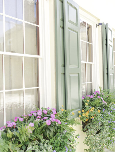 Image of windows with flower beds in front of it