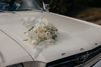 Queenstown wedding photographer