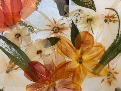 minneaplis-craft-workshop-group