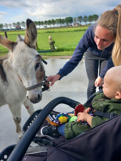 ezel, baby, kinderopvang, vacature, pedagogisch medewerker