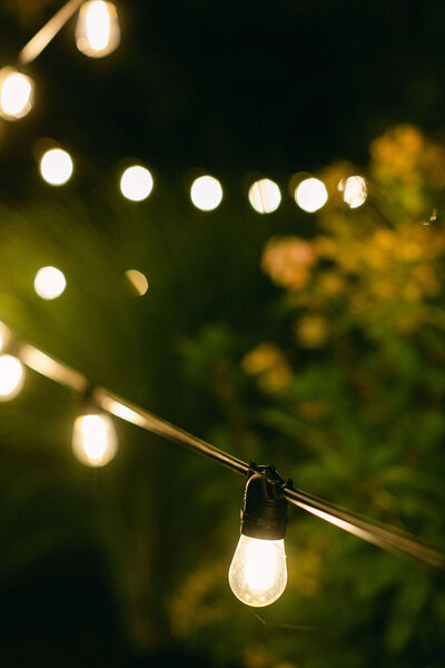 edison bulbs stung up outside lit at night