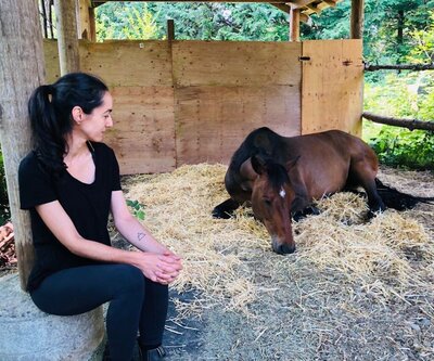 Woman sitting next to horse lying down in stall bed and communication telepathically. 