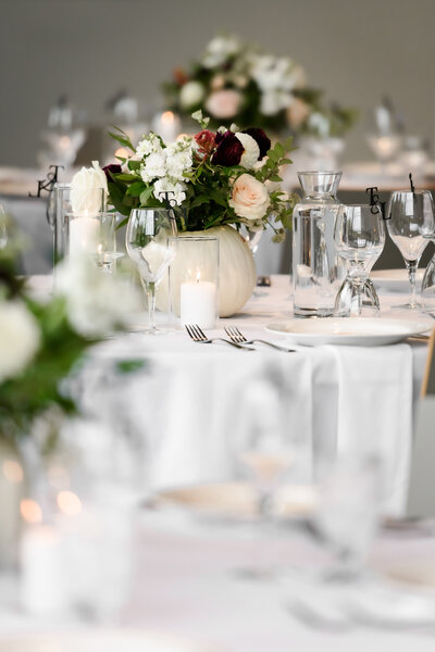 Alpine Ski Wedding Photographer