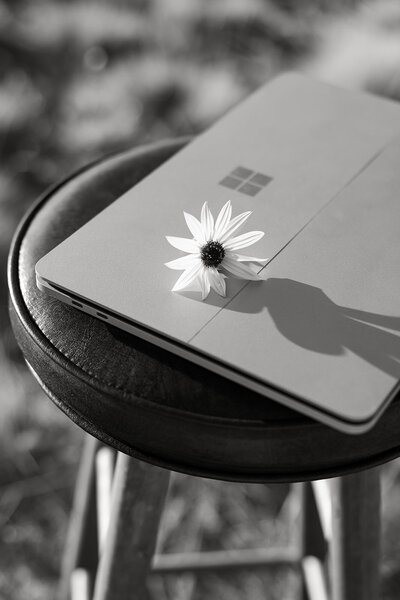 Black and white photo of Haylee's laptop sitting closed on top of a stool. There is a yellow wildflower sitting on top of her laptop.