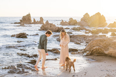 beach maternity photo with dog