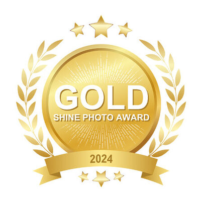 Gold award 2024 for Rochel Konik Photography
