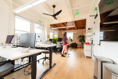 Bright open-plan office with standing desks, computers, natural wood floors, and plants throughout.