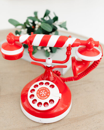 holiday decor-01624