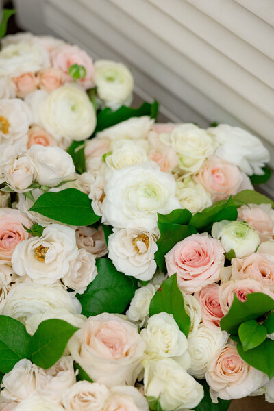 white and pink flowers