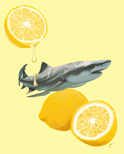 A lemon shark swims as a lemon half is squeezed over its back, illustrated against a yellow background.