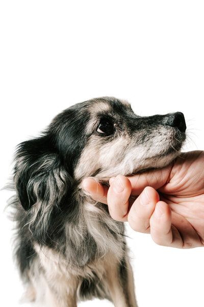 An intimate moment at their Bedell Cellars wedding in  Cutchogue, New York