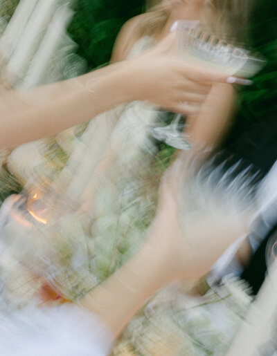 seattle_botanical_garden_dinner_party_mylaliphotos-86