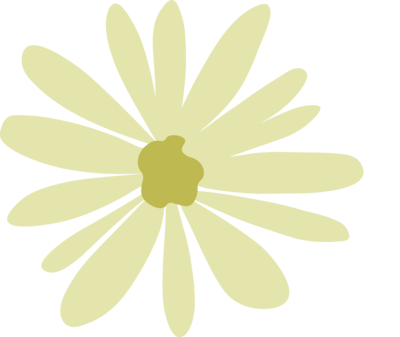 Discovery Montessori School