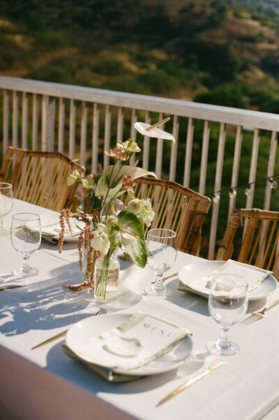 imagesbyabbi--000056330025