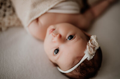 marci-newborn-7