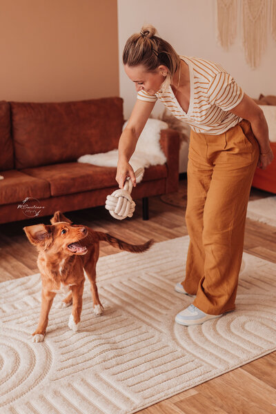 Tollerpuppy met baasje tijdens hondenfotoshoot in de fotostudio te Geel in België.