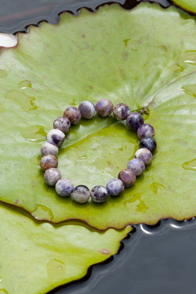 An Amethyst Bracelet laying on a Lilly Pad..
