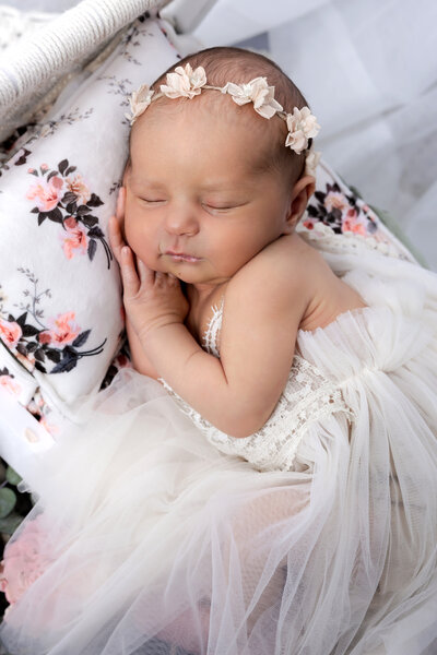 Wall-Ivy_Newborn_PDS-8848