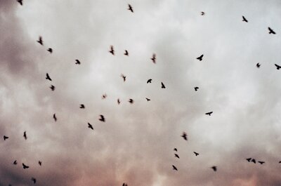Raynie Day Photography