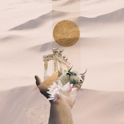 Taurus zodiac collage