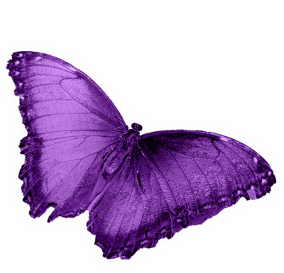 Glowing Purple Butterfly or moth Representing Animal Communication Course
