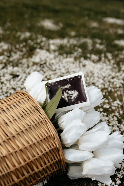 Outdoor baby announcement session in Fryeburg, Maine with joyful connection.