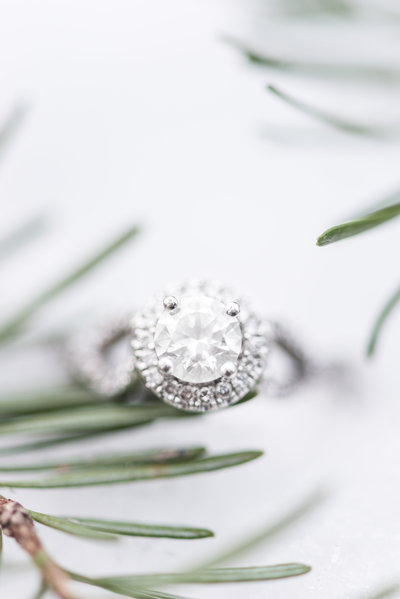 Marisa-Daniel-Engagement-171704