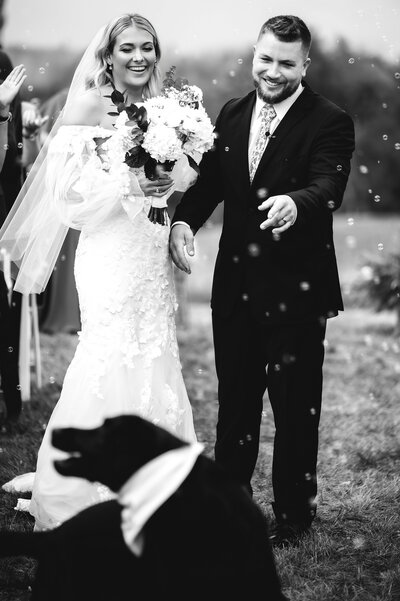 When your dog tries to eat the bubbles, Sandwich NH wedding