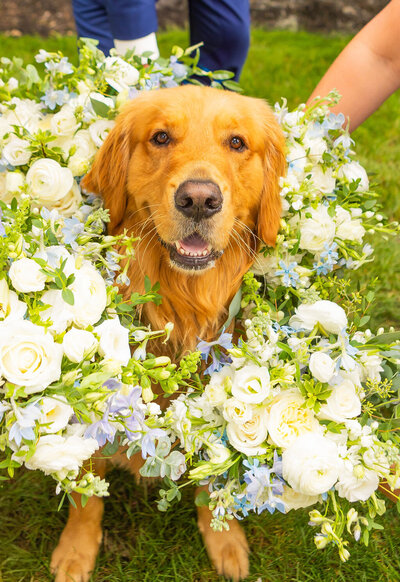 Gorgeous bride with dried botanicals and white flowers at WhiteFace Hollow Wedding Venue