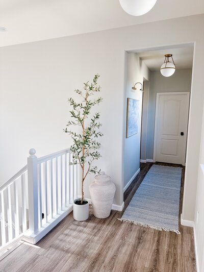 a runner rug and plant in a bright hallway