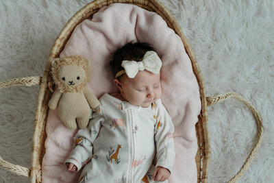First Birthday milestone photoshoot in Chicago, IL by Moments by Meli