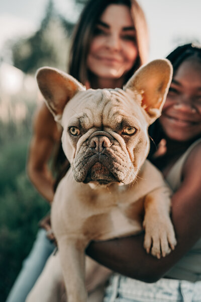 A mother and daughter hold their young blonde haired Frenchy as he stares, making direct eye contact in an outdoor setting.