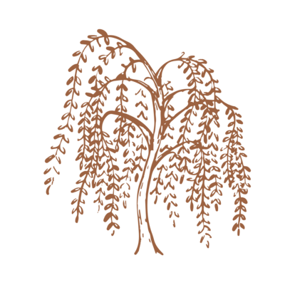 illustration of willow tree in rust