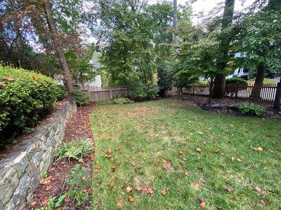 Backyard DIY for DMV area residents