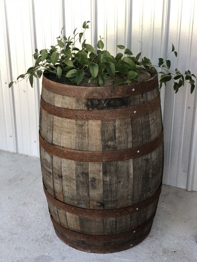 Wine Barrels 2