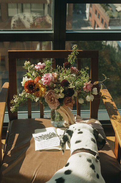 Dalmatian dog sniffing wedding invitation and bridal bouquet sitting on leather chair