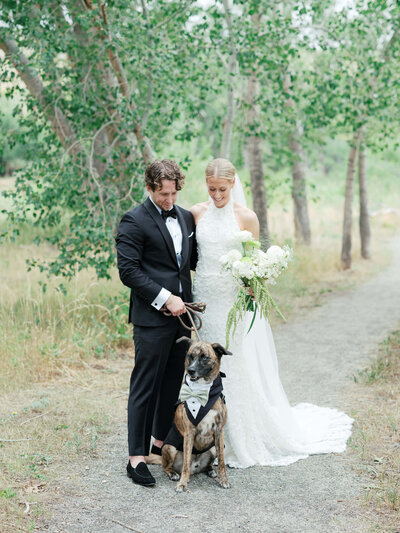 Bride and groom share candid moment with dog ring bearer at luxury Boulder, Colorado wedding