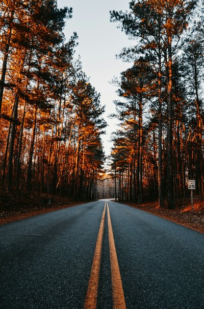 charlotte-milliken-JYh4ZlYIe4s-unsplash