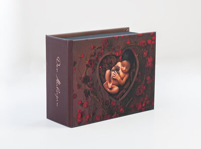 album image box1